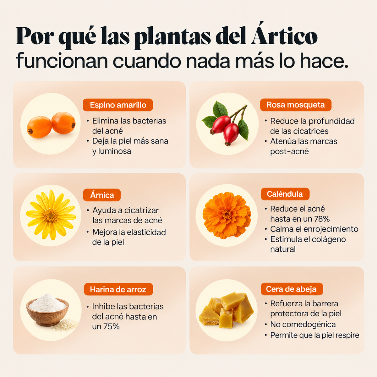 Piel Nativa — El sistema natural para piel con acné