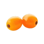 Espino Amarillo