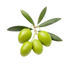Escualano