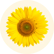 Vitamina E