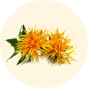 Aceite de Cártamo