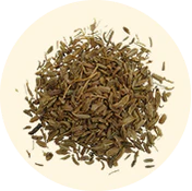 Aceite de Semilla de Zanahoria